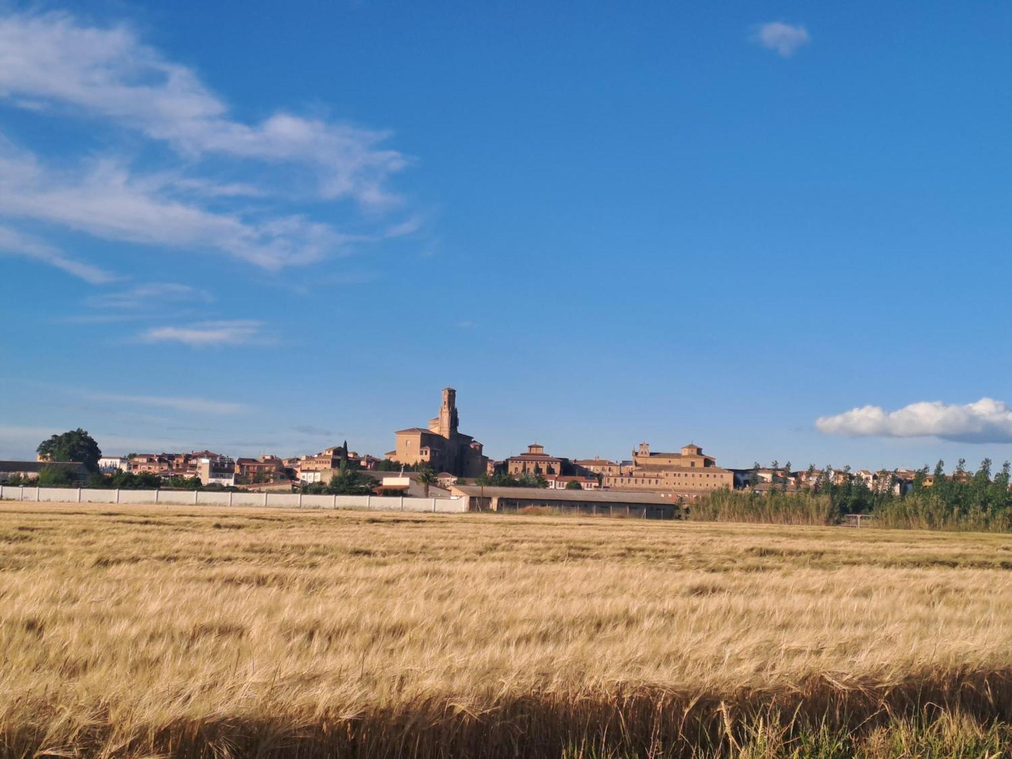 Apartamento Rural Las Canas Esencia De Bardenas Villafranca Eksteriør bilde
